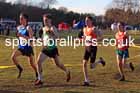 Senior mens 2025 Northern Cross Country Champs, Tatton Park, Knutsford, Cheshire. Photo: David T. Hewitson/Sports for All Pics